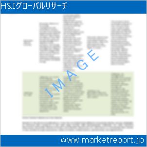 市場と産業調査レポートのイメージ